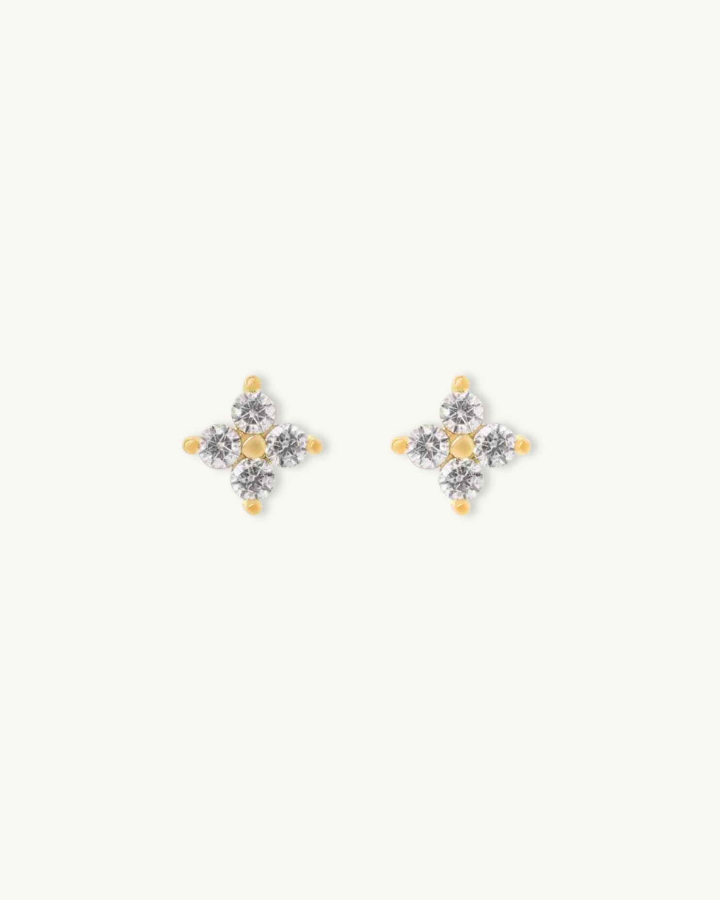 CLEO STUD