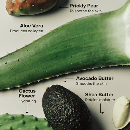 SIDIA The Wash: Braless