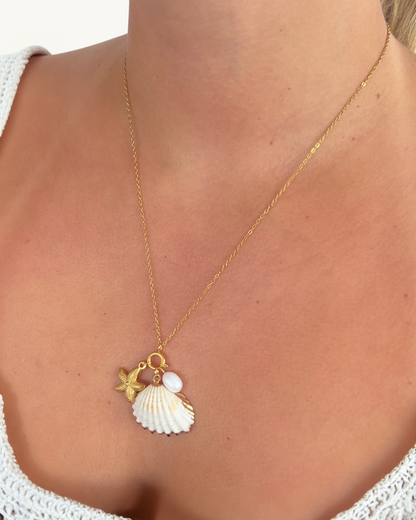 SEASHELL NECKLACE