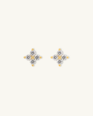 CLEO STUD
