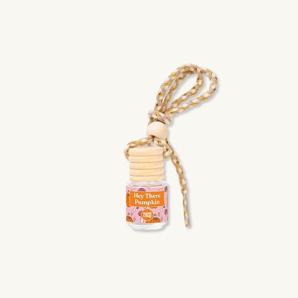 DIFFUSEUR DE PARFUM POUR VOITURE 