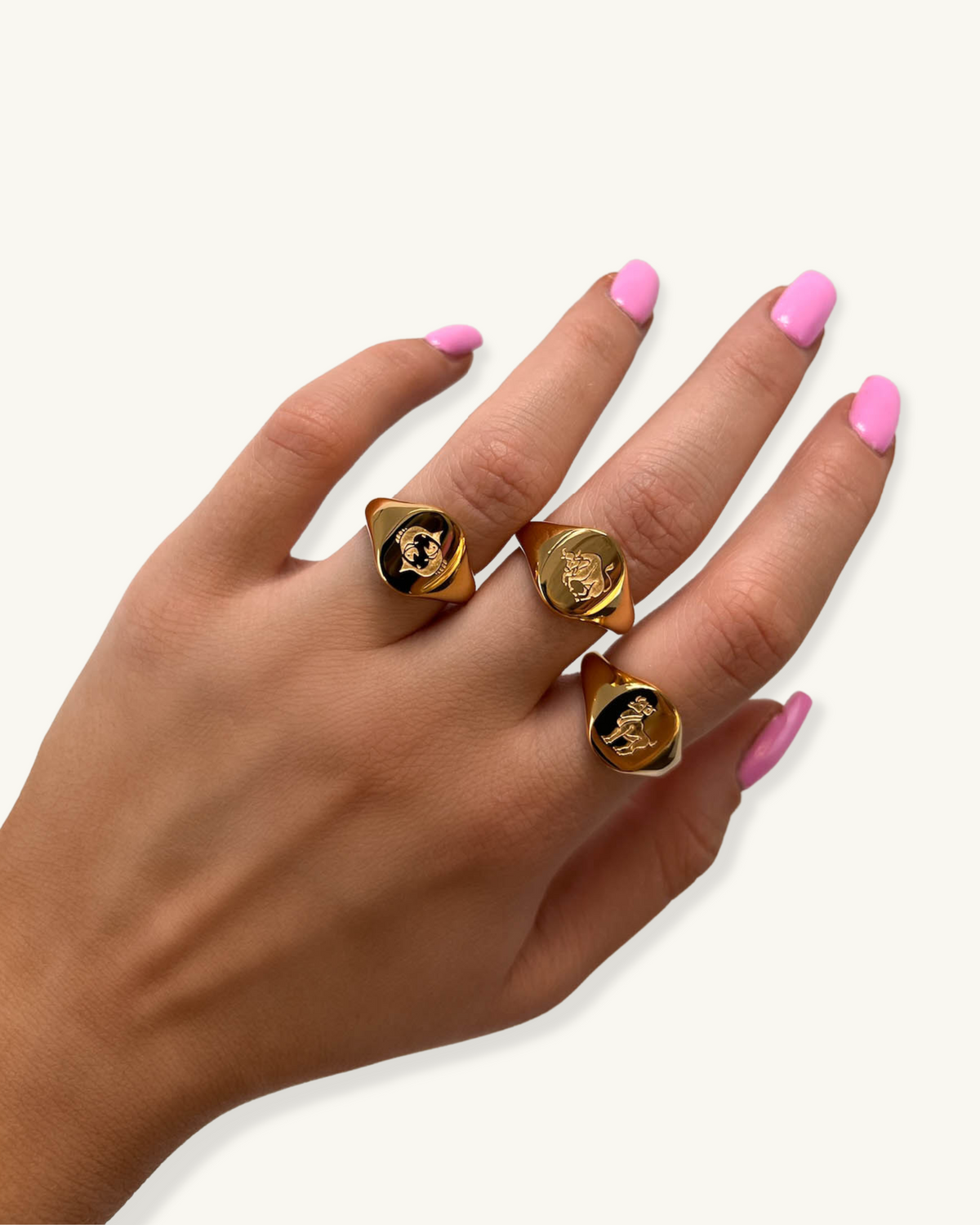 BAGUE CHEVALIERE DU ZODIAQUE